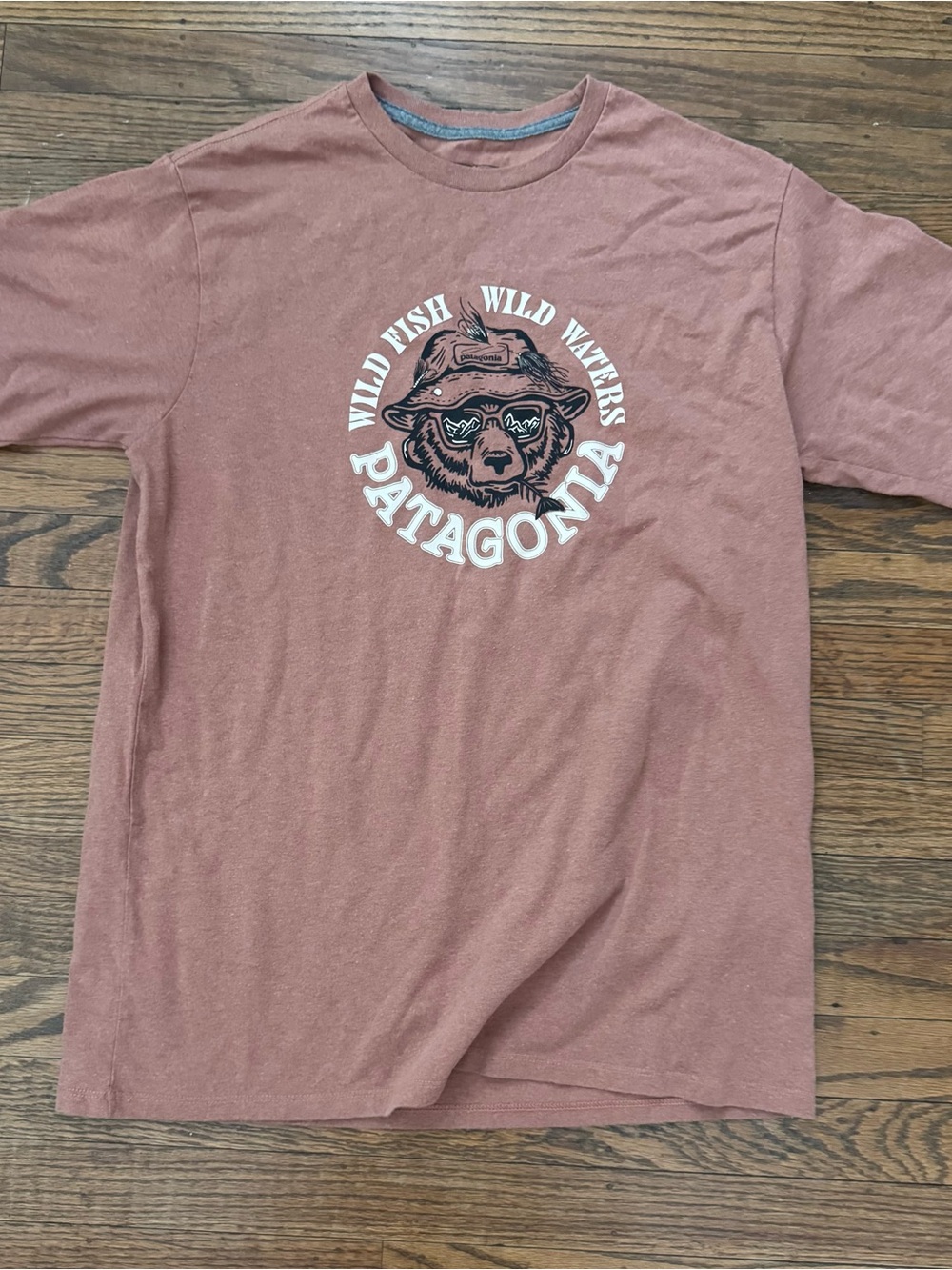 Patagonia Take a Stand Responsibili-Tee Bear in Sierra Clay S EUC